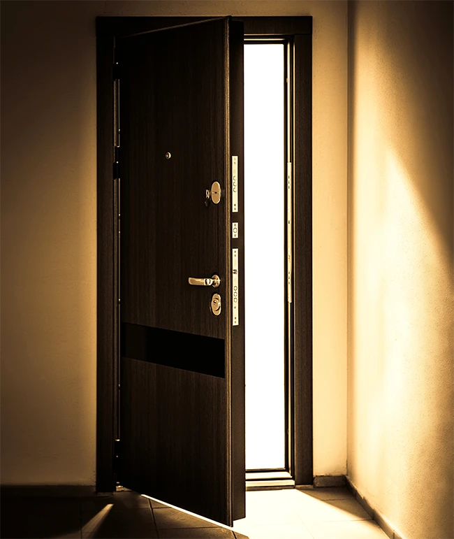 Burglar Proof Entrance Door