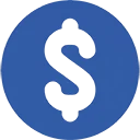 Financing Dollar Icon